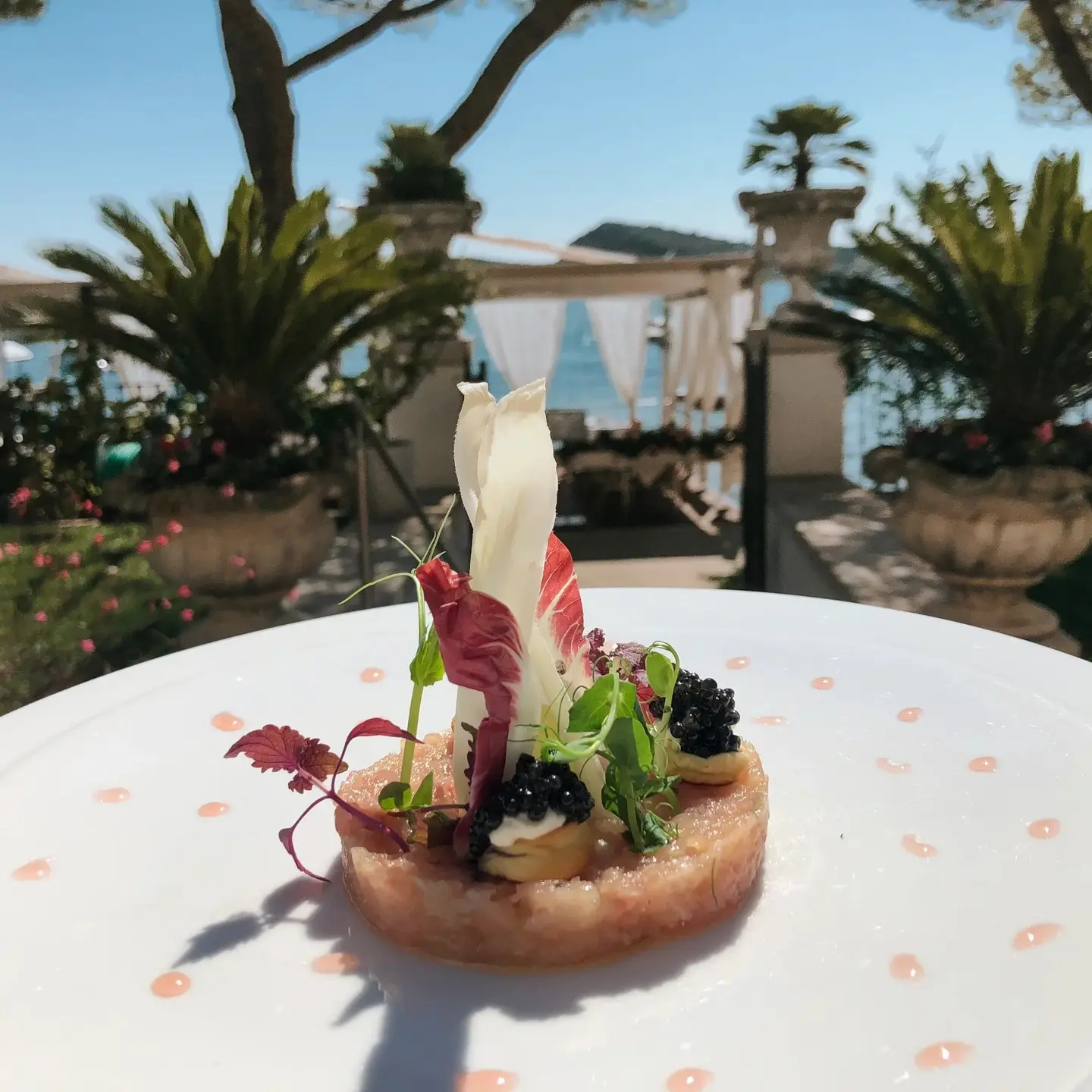 Tartare con caviale e verdure, con il giardino sullo sfondo