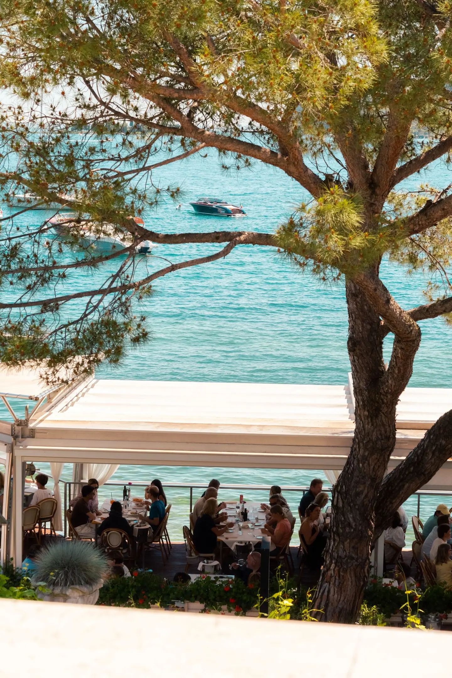 La terrazza piena di ospiti sotto un pino, vista dal giardino
